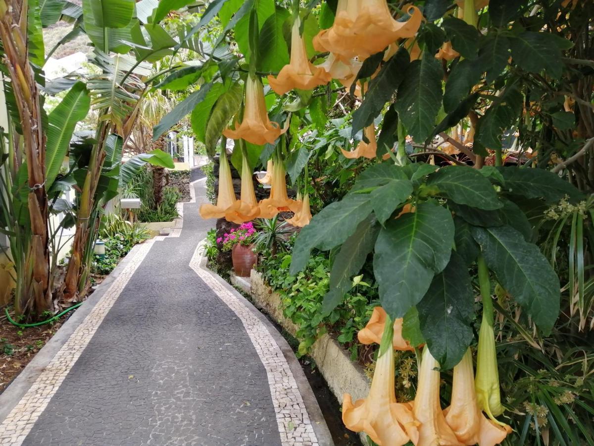 Casa Lg Βίλα Jardim do Mar Εξωτερικό φωτογραφία